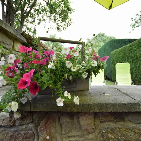 Cozy Family Stay In Durbuy